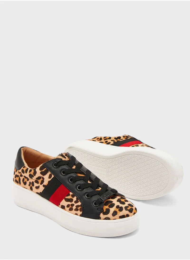 STEVE MADDEN Belle Low Top Sneakers
