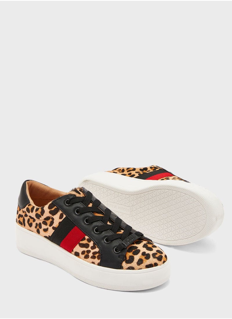 STEVE MADDEN - Belle Low Top Sneakers - Image 1