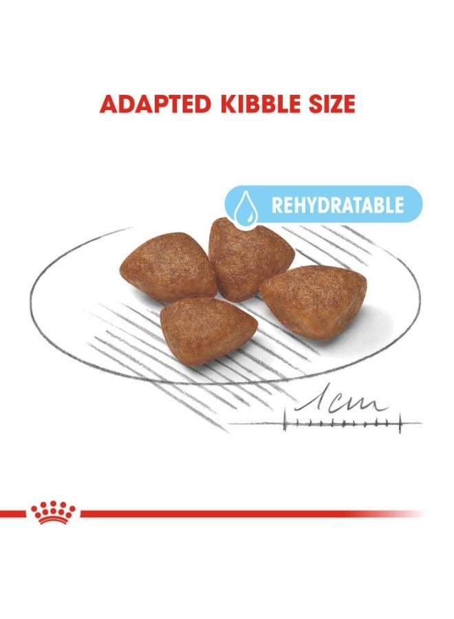 رويال كانين الحجم هيلث نيوتريشن ميني ستارتر 1 كغ - Image 2