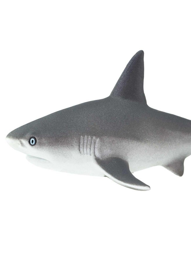 Safari Ltd. Gray Reef Shark Figurine - Detailed 6.25" Plastic Model Figure - Fun Educational Sea Life Play Toy for Boys, Girls & Kids Ages 3+ - Image 4