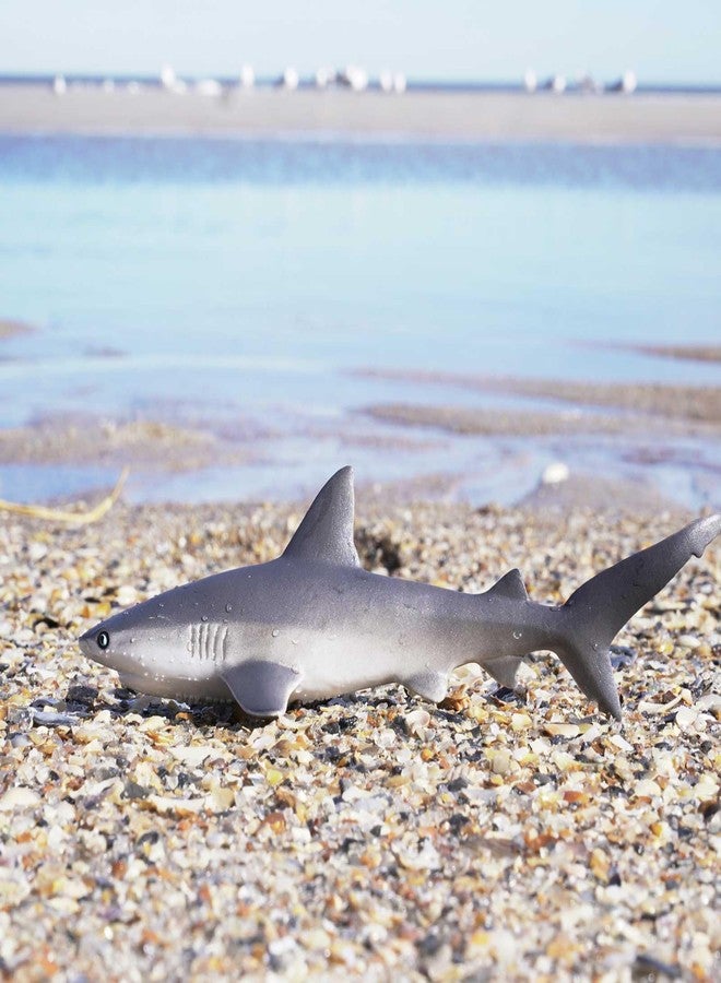Safari Ltd. Gray Reef Shark Figurine - Detailed 6.25" Plastic Model Figure - Fun Educational Sea Life Play Toy for Boys, Girls & Kids Ages 3+ - Image 2