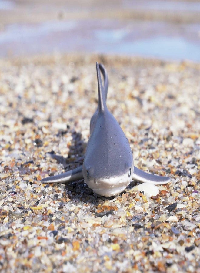 Safari Ltd. Gray Reef Shark Figurine - Detailed 6.25" Plastic Model Figure - Fun Educational Sea Life Play Toy for Boys, Girls & Kids Ages 3+ - Image 5