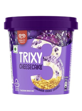 Kwality Wall's Trixy Cheesecake Ice Cream Tub (Cinnamon Cookie Crumble)