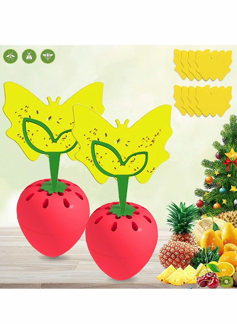 KASTWAVE Fruit Fly Trap, Fly Catcher Gnat Trap Fruit Fly Killer with 16 Yellow Sticky Traps 2 Trapping agent, Gnat Trap with Bait for Indoor Outdoor, Safe Non-Toxic Fly Trap for Home/Kitchen/Plant (2 Pack) - Image 1