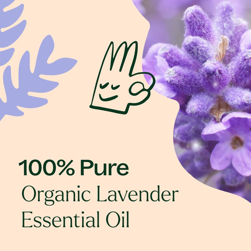 Plant Therapy Organic Lavender Essential Oil 100% Pure, USDA Certified Organic, Undiluted, Natural Aromatherapy for Diffusion & Topical Use, For Skin, Hair, Relaxation, Premium Therapeutic Grade 30 mL - Image 5