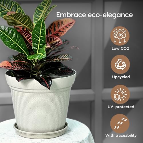 Eha Set of 4 Earth-Friendly Aura 10 Inch pots and Planters | Bamboo Based | UV Protected | for Indoor, Home Decor, Outdoor, Balcony & Garden | Sandcastle - Image 5