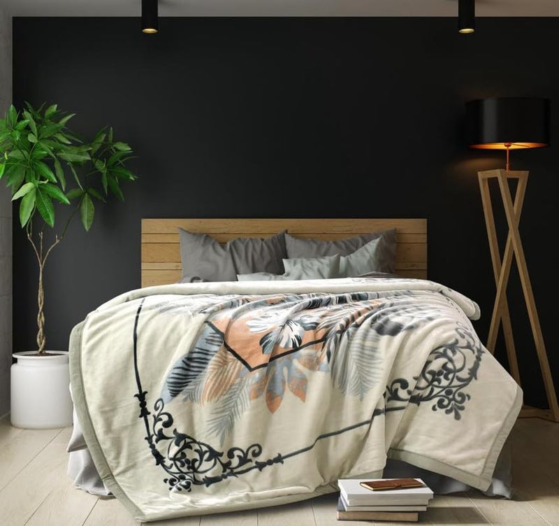 Bezzilish Home Bezzilish Home Cloudy Silky toch Fabric 2 Play Double Bed Blankets English Colour with Fancy Bag Packing Pack of 1 Multicolor11 TC 120 