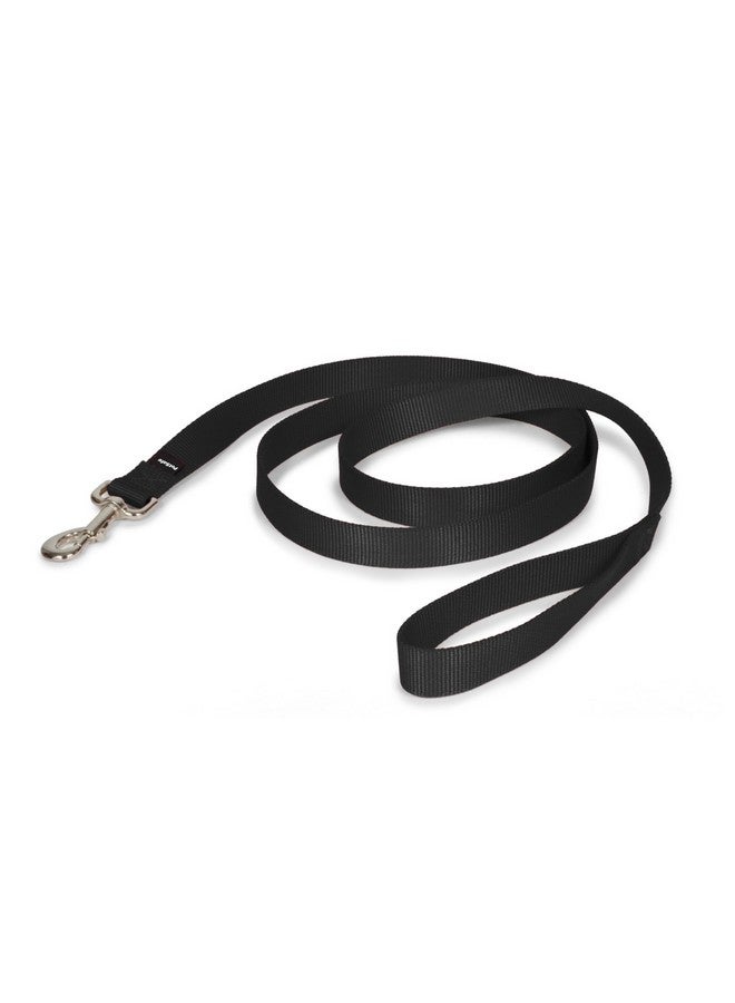 بيت سيف مقود الكلاب من النايلون من PetSafe - مقود قوي ومتين بتصميم تقليدي مع مشبك سهل الاستخدام للكلاب الصغيرة والمتوسطة والكبيرة - 1 بوصة × 6 أقدام، لون أسود - Image 1