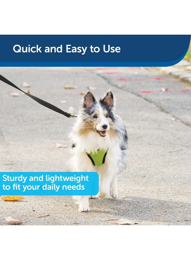 بيت سيف مقود الكلاب من النايلون من PetSafe - مقود قوي ومتين بتصميم تقليدي مع مشبك سهل الاستخدام للكلاب الصغيرة والمتوسطة والكبيرة - 1 بوصة × 6 أقدام، لون أسود - Image 3