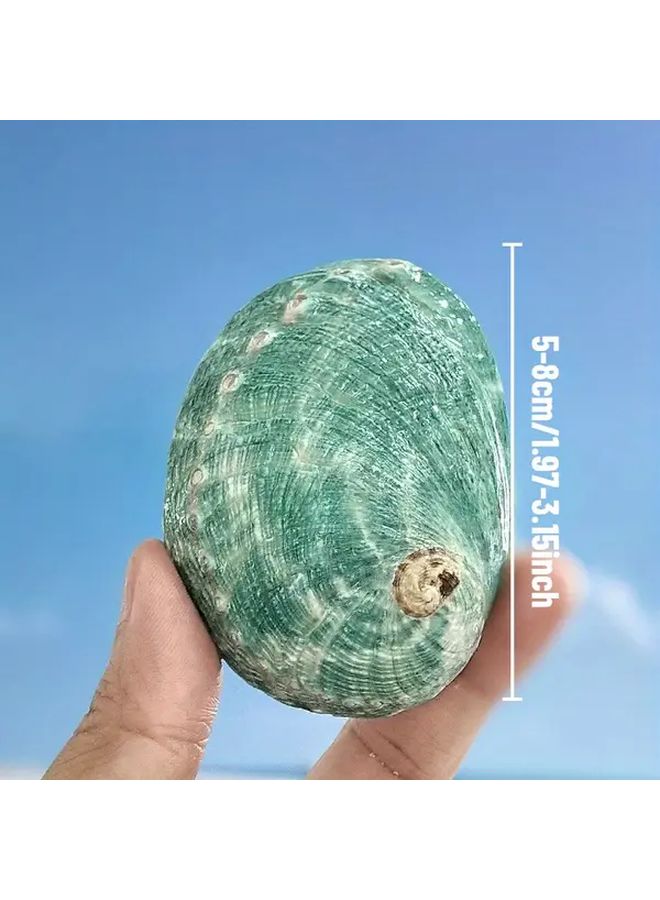 Handmade Abalone Shell S Size Natural Aquarium Decor Fish Tank Ornament Home - Image 1