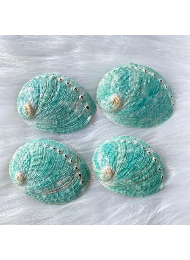 Handmade Abalone Shell S Size Natural Aquarium Decor Fish Tank Ornament Home - Image 2