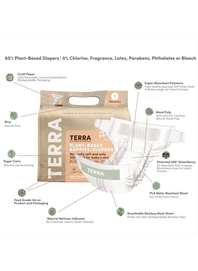 Terra حفاظات حديثي الولادة مقاس 1: 85% حفاظات نباتية، فائقة النعومة وخالية من المواد الكيميائية للبشرة الحساسة، امتصاص فائق للحفاظات النهارية أو الليلية، مصممة لحديثي الولادة حتى 11 رطل، 24 قطعة - Image 2