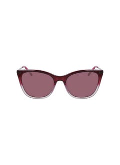 Women Cat Eye Sunglasses DK711S-510-5518 Lens Size :  55 mm - pzsku/Z65FA690FAA5F0D8E4B47Z/45/_/1684222637/20d257cb-80a6-42f4-b16a-37dc1d49517a