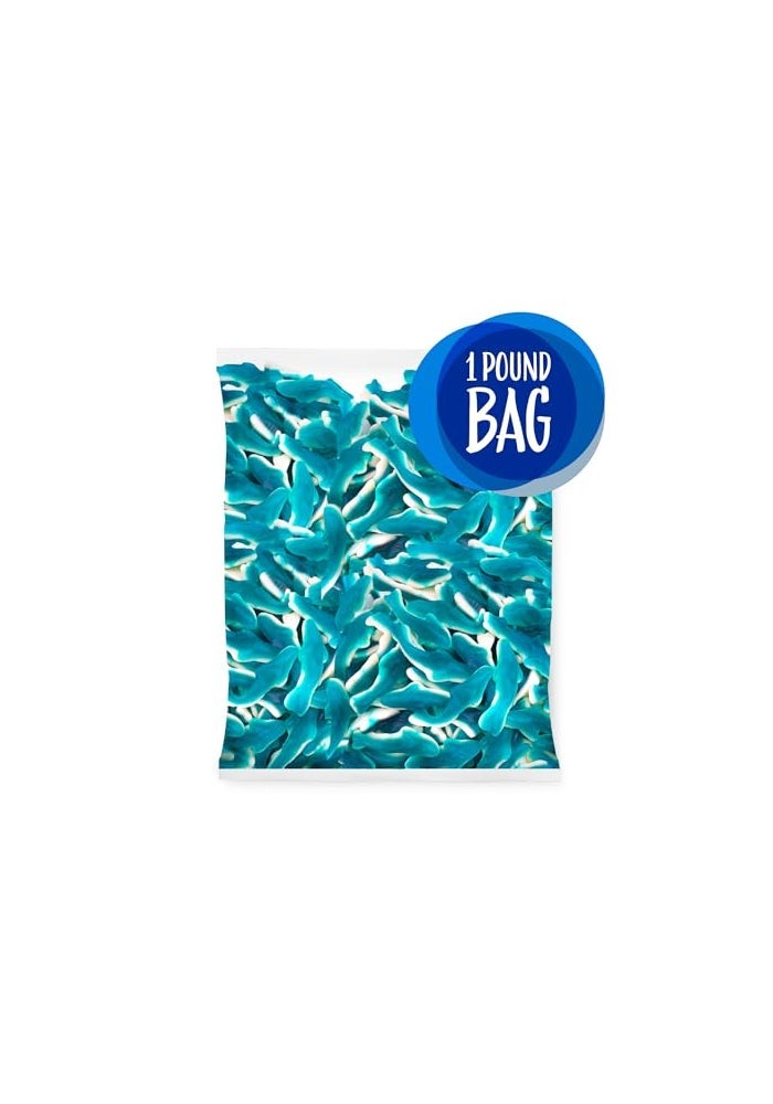 SUNNY ISLAND Blue Sharks Gummy Candy  1 Pound Bag  Gummy Fish in Blue Raspberry and Vanilla Flavors  Chewy Shark Candy for Parties Goody Bags and Themed Events - Image 5