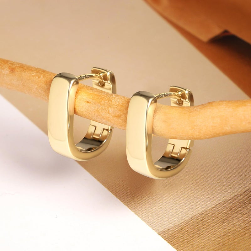 ALEXCRAFT Small Chunky Earrings for Women Trendy Small Hoop Earrings Gold Plated Hypoallergenic Small Thick Huggie Hoops Earring for Jewelry Gifts - Image 3