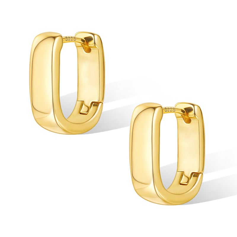 ALEXCRAFT Small Chunky Earrings for Women Trendy Small Hoop Earrings Gold Plated Hypoallergenic Small Thick Huggie Hoops Earring for Jewelry Gifts - Image 1