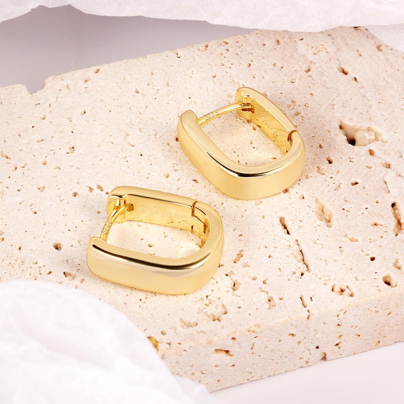 ALEXCRAFT Small Chunky Earrings for Women Trendy Small Hoop Earrings Gold Plated Hypoallergenic Small Thick Huggie Hoops Earring for Jewelry Gifts - Image 2