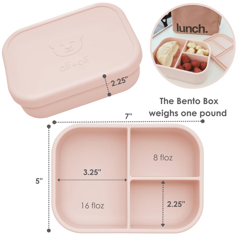 Ali+Oli Silicone Bento Box (Blush) Lunch Box for Kids  Toddlers  Preschoolers & Adults | BPA-Free and Spill-Proof | Ideal for School  and On-the-Go Meals | Durable Container for Snacks - Image 2
