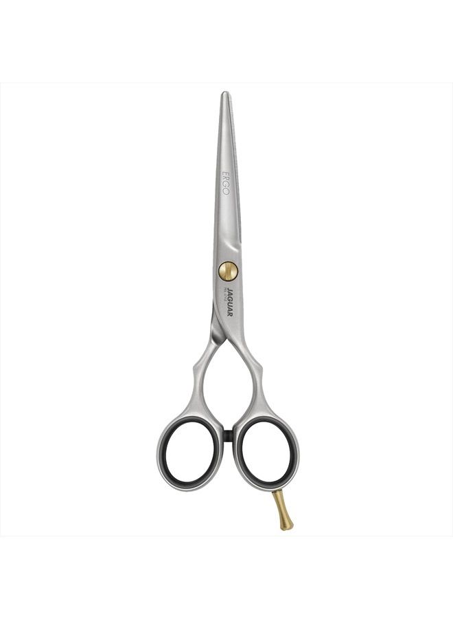 JAGUAR مقص تصفيف الشعر Jaguar Pre Style Ergo مقاس 6.0 بوصة من الفولاذ المقاوم للصدأ لقص الشعر وتقليمه لمصففي الشعر والحلاقين، بمظهر نهائي ساتان، تصميم كلاسيكي، صنع في ألمانيا - Image 1