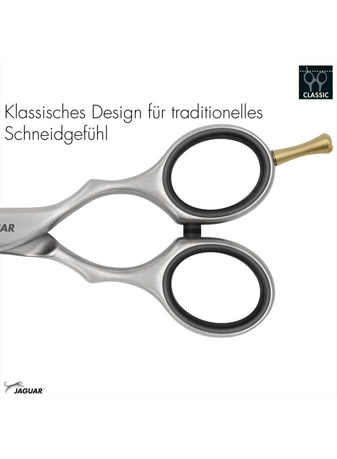 JAGUAR مقص تصفيف الشعر Jaguar Pre Style Ergo مقاس 6.0 بوصة من الفولاذ المقاوم للصدأ لقص الشعر وتقليمه لمصففي الشعر والحلاقين، بمظهر نهائي ساتان، تصميم كلاسيكي، صنع في ألمانيا - Image 4