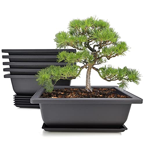MUZHI 6PCS/Pack Retro Style Basin Plastic Flower Pot 6.5 Inch Flower Bonsai Tree Plant Bowl Nursery Pots Maceta Cuadrada Simulational Purple Sands Pots with Tray Rectangle Small - Image 1