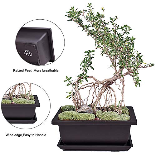 MUZHI 6PCS/Pack Retro Style Basin Plastic Flower Pot 6.5 Inch Flower Bonsai Tree Plant Bowl Nursery Pots Maceta Cuadrada Simulational Purple Sands Pots with Tray Rectangle Small - Image 4