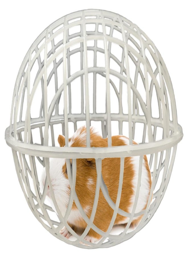 CalorMixs 7.8" Ball-Shaped Movable Pigeon Chick Coop, Little Rabbit Duck Guinea Pig Safe Walking Net,Preventing Dog Bites, Predation by Eagles Wolves Cats Eagles, Pet Safety Cage - Image 1