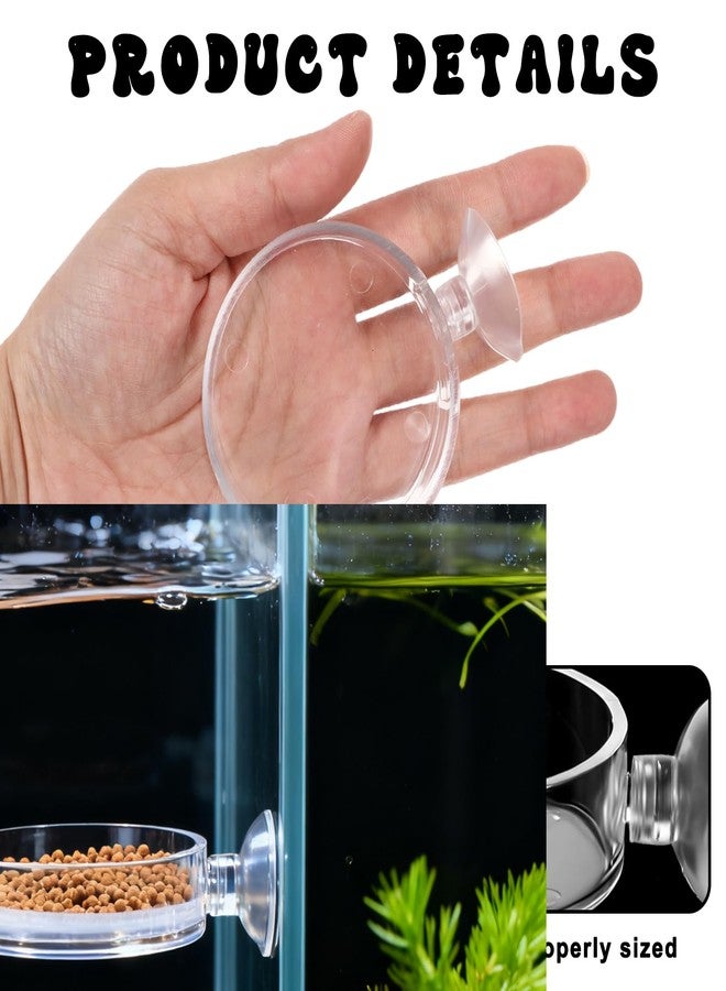 YQQYG 2 Pcs 60mm Fish Tank Feeder Dish, Clear Acrylic Aquarium Shrimp Feeder Dish with Suction for Aquarium Tanks Feeding - Image 3