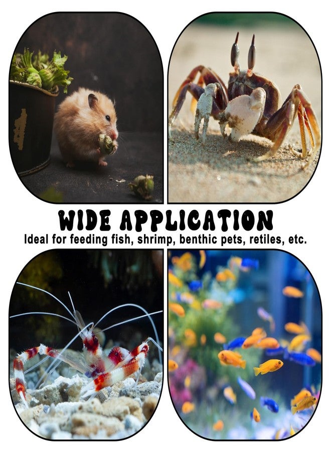 YQQYG 2 Pcs 60mm Fish Tank Feeder Dish, Clear Acrylic Aquarium Shrimp Feeder Dish with Suction for Aquarium Tanks Feeding - Image 4