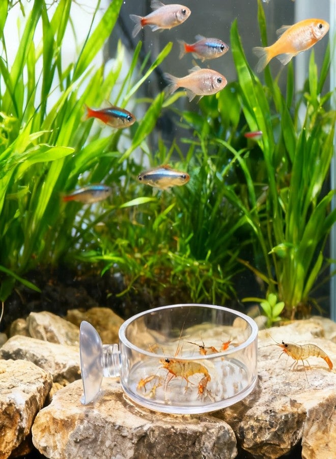 YQQYG 2 Pcs 60mm Fish Tank Feeder Dish, Clear Acrylic Aquarium Shrimp Feeder Dish with Suction for Aquarium Tanks Feeding - Image 5