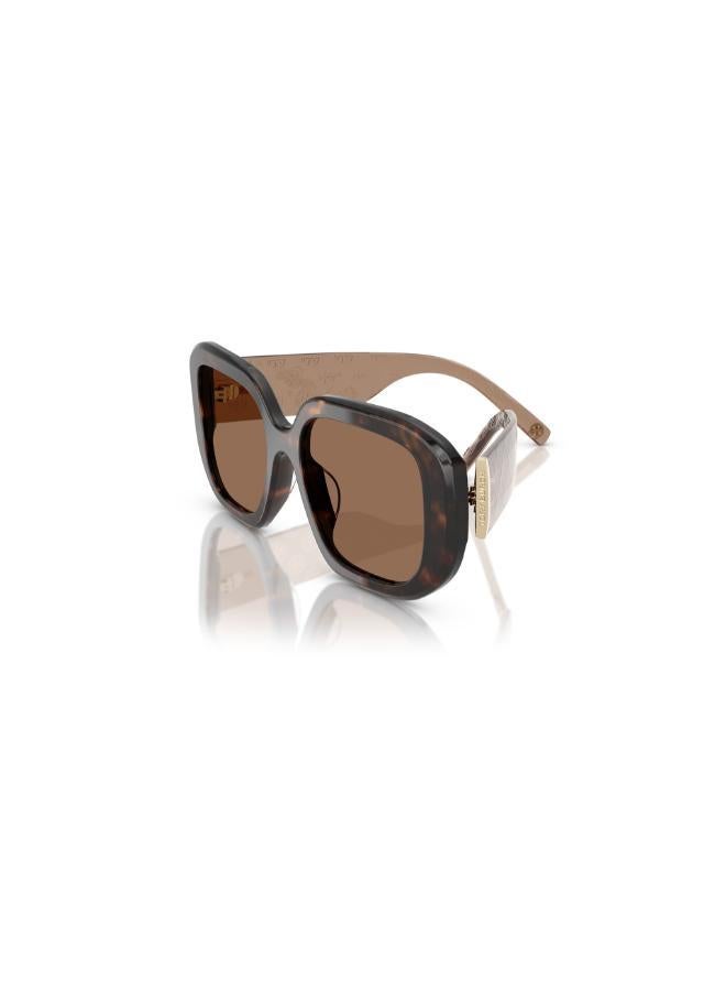 Tory Burch 0Ty7218U Irregular Sunglasses - Image 3