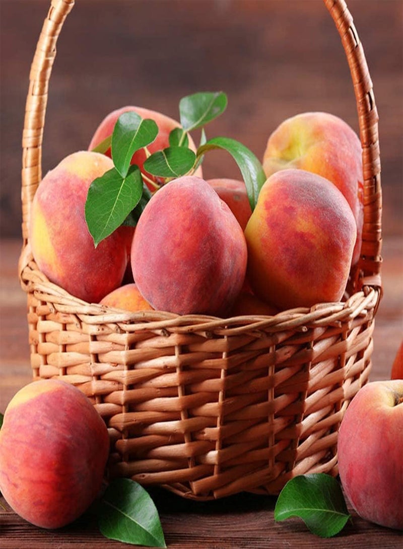 GGOOT 10Pcs Peach Seeds Sweet Juicy Perennial Heirloom Fruits Easy to Plant for Gardeners Home Gardening Planting Popular Fruit Tree - Image 1