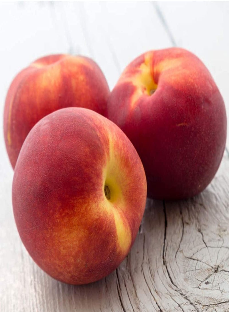 GGOOT 10Pcs Peach Seeds Sweet Juicy Perennial Heirloom Fruits Easy to Plant for Gardeners Home Gardening Planting Popular Fruit Tree - Image 3