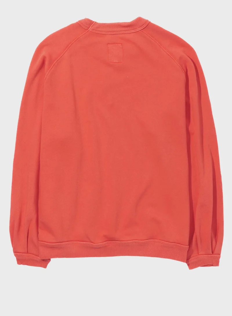 Aerie Crew Neck Sweatshirt