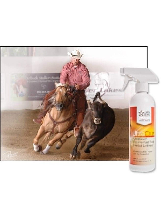 UltraCruz UltraCruz Veterinary Fast Track Herbal Liniment for Horses, 16 oz  - Image 2