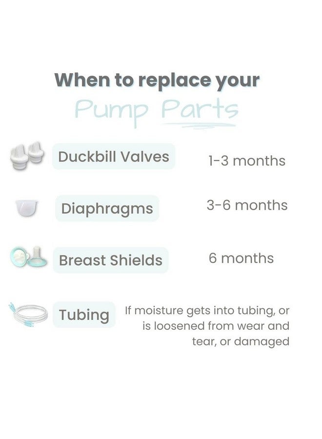 Zomee Double Breast Shield Kit Replacement Set for Z2 Size 24mm Includes; Breast Sheild Body, Diaphragms, Duckbill Valves, Tubes and Adapters & Storage Bottles - Image 5