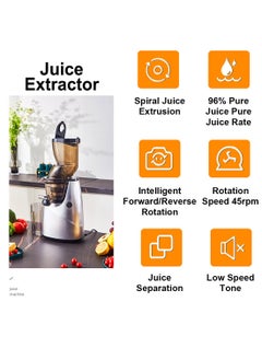 ET-LIFE Slow Masticating Juicer, Slow juicer, Fruit/Vegetable Juicer, Cold Press Juicer with High Output  - Image 5