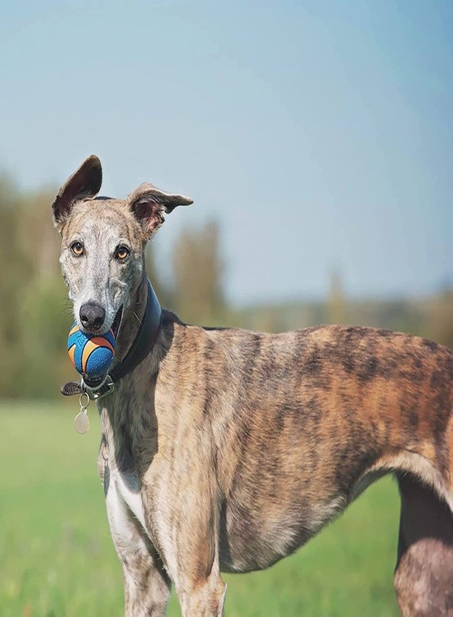 Chuckit! Ultra Squeaker Ball Dog Toy Large (3" Diameter) (4 Pack) - Image 4
