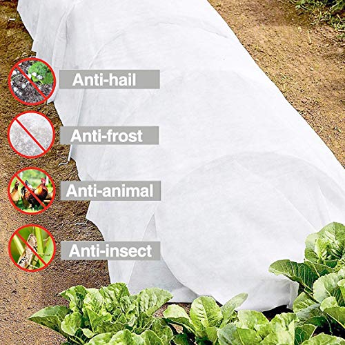 DIVAYANSHI Bug Insect Bird Net with Sewn Edges - 5 Ft x 10 Ft Barrier Hunting Blind Plant Cover Garden Mesh Netting for Protect Your Vegetables, Fruits, Flower & Trees - Image 2