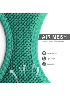 fida Fida Cat Harness and Leash Set for Walking Kitten and Puppy, Escape Proof Kitten Harness with Breathable Lightweight Soft Mesh, Adjustable Reflective Step-in Design. (XXXS, Green)  - Image 1