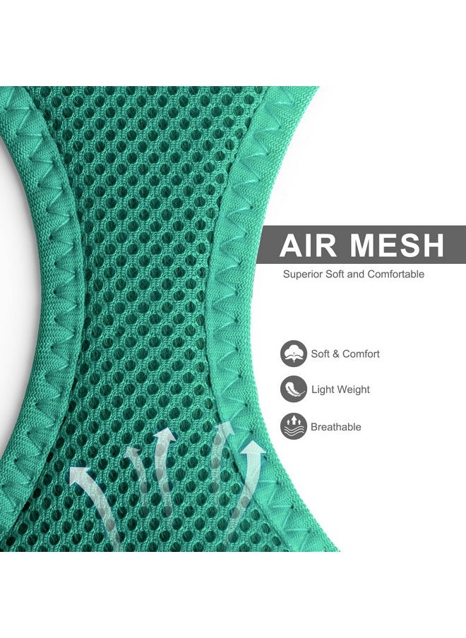 fida - Fida Cat Harness and Leash Set for Walking Kitten and Puppy, Escape Proof Kitten Harness with Breathable Lightweight Soft Mesh, Adjustable Reflective Step-in Design. (XXXS, Green) - Image 1
