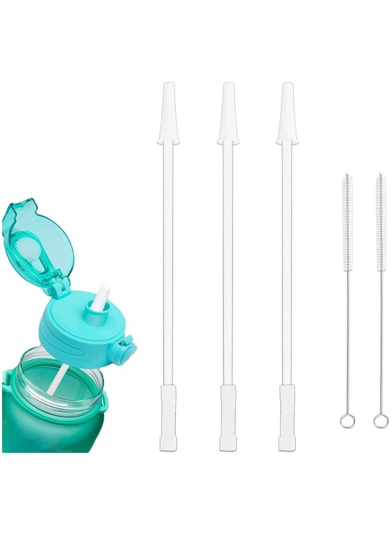 Y&D 3 Set Detachable Removable Straws for Half Gallon/1 Gallon Water Bottles, Cut Short to Fit any Bottle with Spout Lid Cap  - Image 1