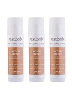 Lip Balm Set of 3 Made with Shea Butter Cocoa Butter Castor Avocado  Jojoba oil Beeswax Vitamin E and Essential oil Moisturizing Lip Care Cruelty Free Hydration 100 Natural 3 Pack