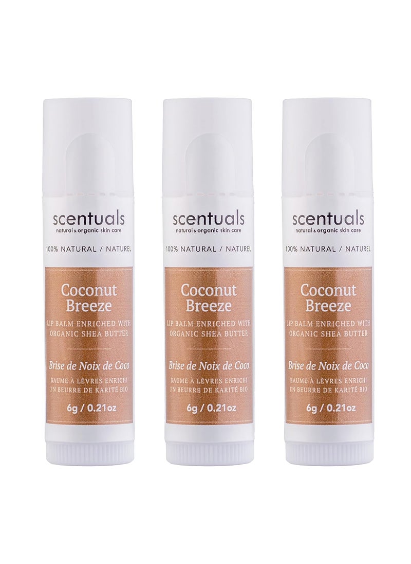 Scentuals - Lip Balm Set of 3 Made with Shea Butter Cocoa Butter Castor Avocado  Jojoba oil Beeswax Vitamin E and Essential oil Moisturizing Lip Care Cruelty Free Hydration 100 Natural 3 Pack - Image 1