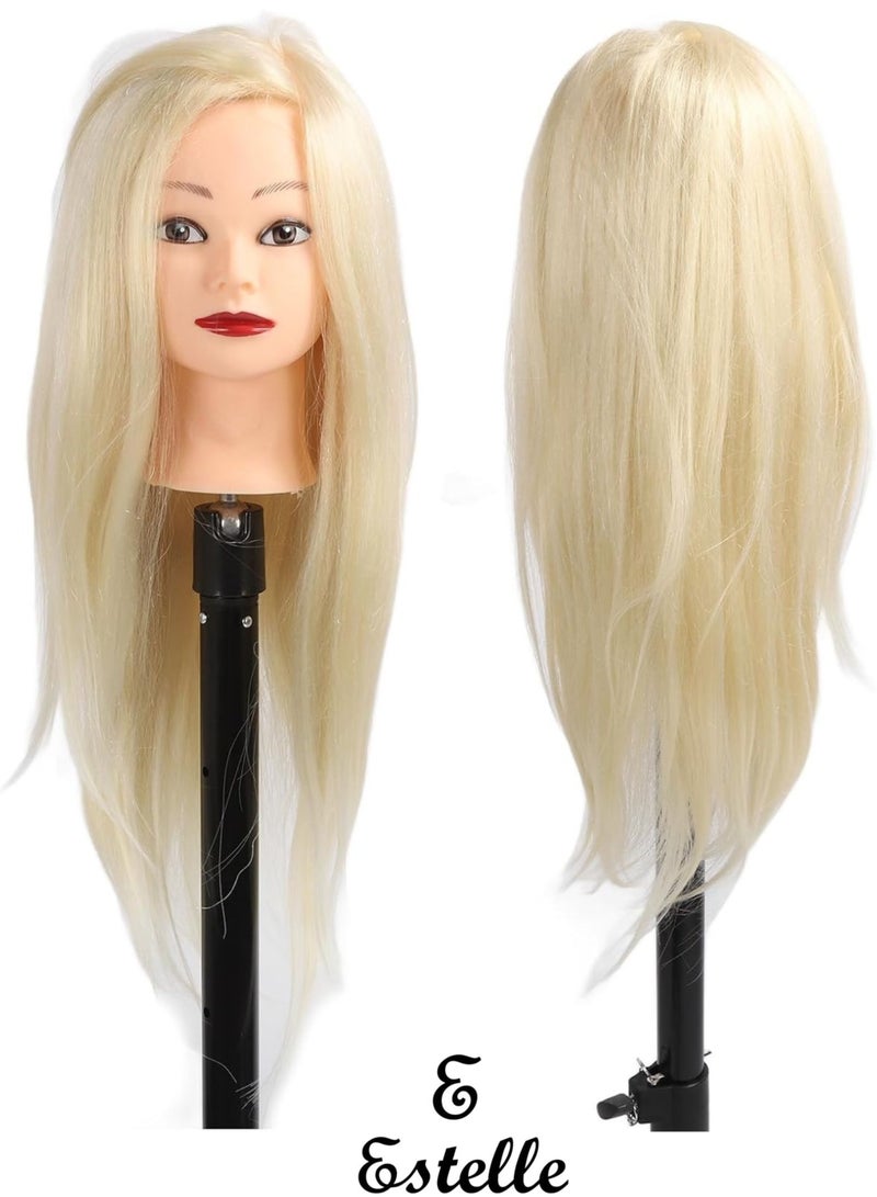 إستيل رأس عارضة أزياء بشعر بشري 100% مع حامل، شعر حقيقي من 24 إلى 20 بوصة، رأس شعر طبيعي لدمية التجميل للتدريب على تصفيف الشعر، وتصفيف الشعر والجديلة (أشقر) - Image 1