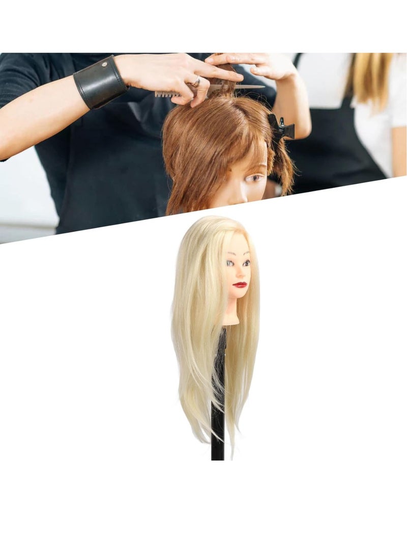 إستيل رأس عارضة أزياء بشعر بشري 100% مع حامل، شعر حقيقي من 24 إلى 20 بوصة، رأس شعر طبيعي لدمية التجميل للتدريب على تصفيف الشعر، وتصفيف الشعر والجديلة (أشقر) - Image 3