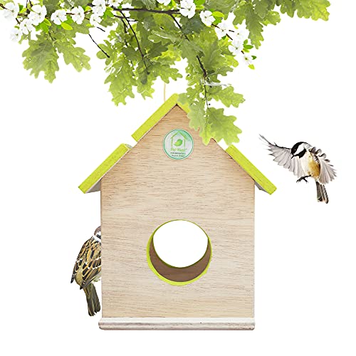 PetNest Wild Hanging Bird Feeder Chabutra Gift idea for Outside, Patio, Backyard, with Free Hanging (Green Chabutra) - Image 2
