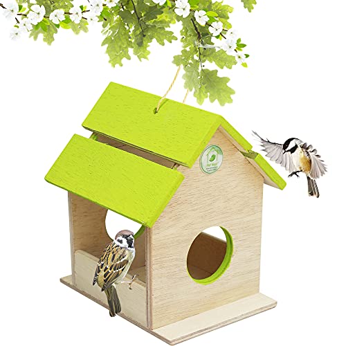 PetNest Wild Hanging Bird Feeder Chabutra Gift idea for Outside, Patio, Backyard, with Free Hanging (Green Chabutra) - Image 1