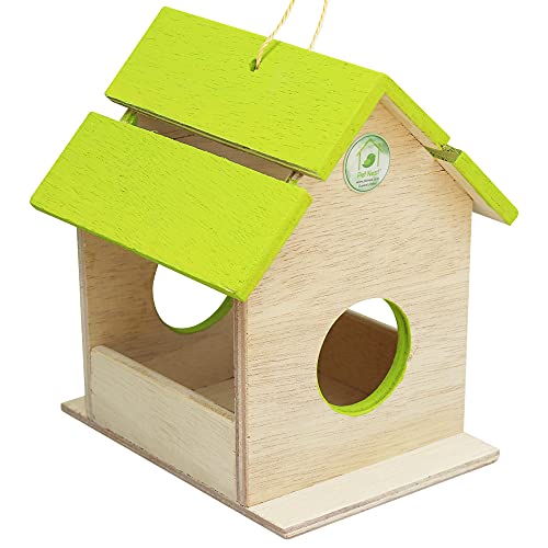 PetNest Wild Hanging Bird Feeder Chabutra Gift idea for Outside, Patio, Backyard, with Free Hanging (Green Chabutra) - Image 4