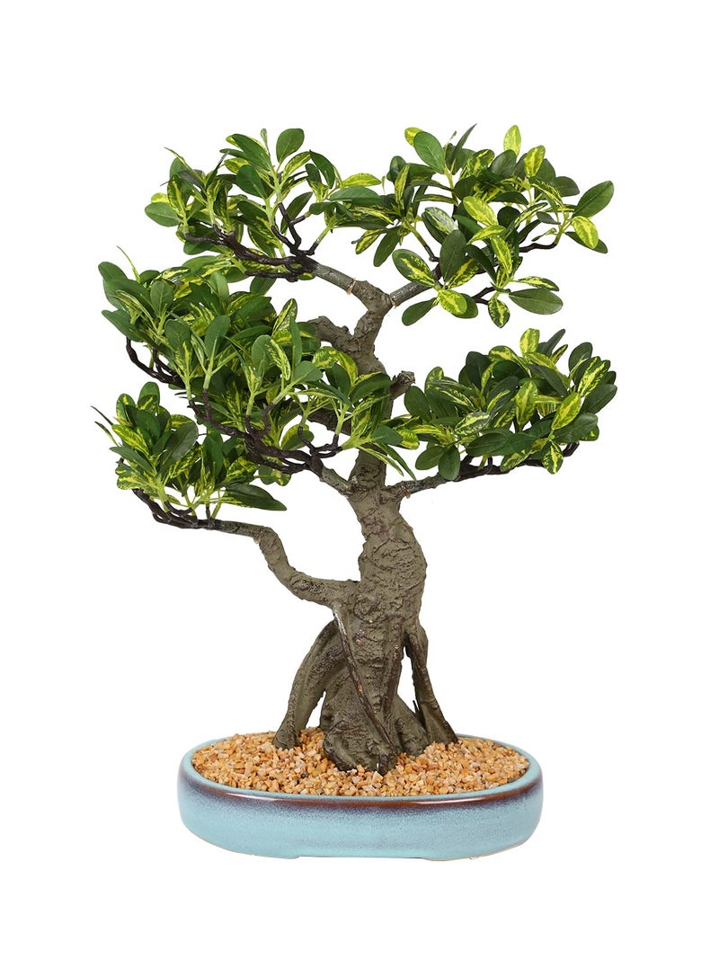 Fourwalls Artificial Schefflera Bonsai Plant in a Ceramic Pot for Home Dcor 48 cm Green